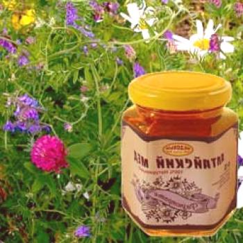 Hierba de miel: propiedades útiles y contraindicaciones