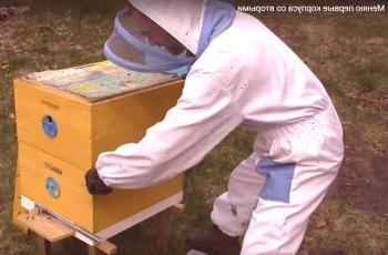 Samoilov Sergey: apicultura