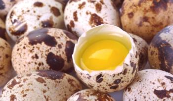 Jajca prepelice so dobri in slabi: vitamini v jajcih prepelic