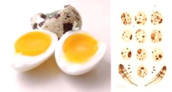 Huevos de codorniz con pancreatitis - como usarlo