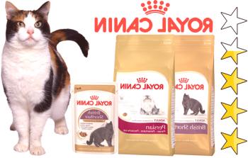 Krma za mačke Royal Canin: pregled, vrsta, sestava, pregledi