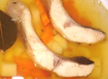 Kako pripraviti okusno juho iz mačje hiše - recept iz Anatolija Astafyjeva