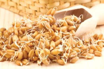 Масло от пшеничен зародиш за коса: ревюта, приложение, маски
