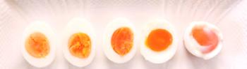 Cómo cocinar huevos de pollo - Cómo cocinar impresionante