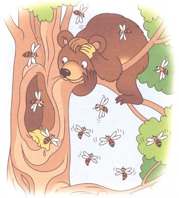 Značilnosti divjih čebel, sestava in uporabne lastnosti divjega medu