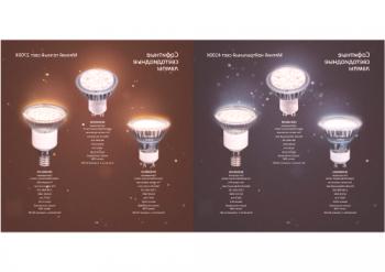 Elección de lámparas LED: clasificación del fabricante y reglas de selección.