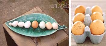 ¿Cuáles son los huevos de gallina útiles? ¿Qué tratamiento hay?