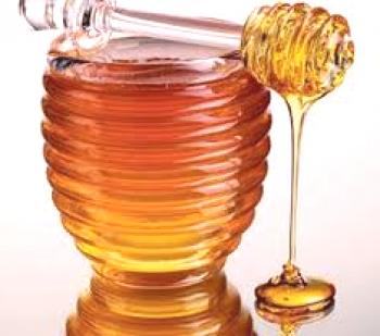 Miel de trébol - composición y propiedades, extracción y cosecha, cualidades curativas