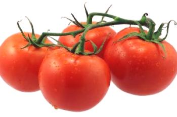 Cómo mantener los tomates frescos, congelados y secos para el invierno