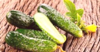 Semena kumaric za rastlinjake, samoprašna za soljenje
