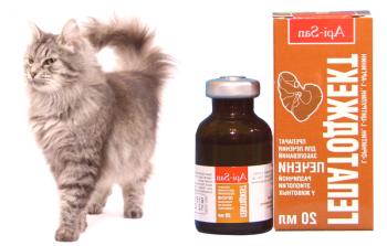Hepatodekt za mačke: navodila za uporabo, pregledi