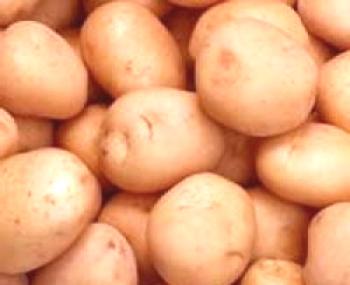 Patatas tempranas de Zhukovsky