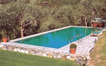 SPA-abierto, cerrado, compuesto y otros tipos de piscinas para dacha.