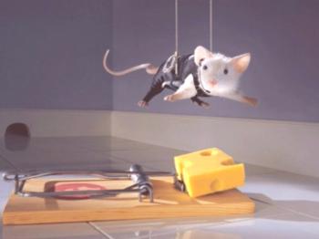 Kako se znebiti miši v apartmaju za vedno