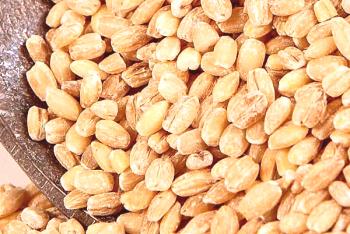 Biserni arašidi so dobri in slabi: vitamini v biser ječmenu
