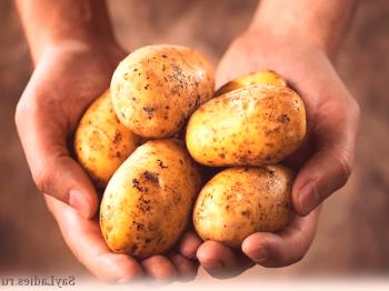 Lastnosti krompirja, zdravilne lastnosti krompirja