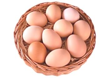 Prečesa piščančjih jajc: opis, opis pasem, fotografije in cene