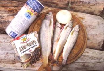 Kako solati lipana - pašni losos doma