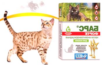 Drops Bars para gatos de pulgas y piojos: instrucciones de uso, revisiones