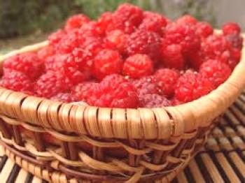 Raspberry Honey - zbiranje, sestava, videz, uporabne lastnosti