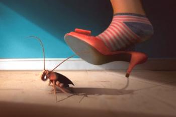 Черни хлебарки в апартамента: как да се отървете от