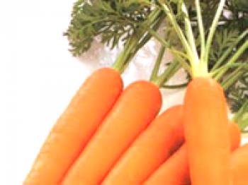 Zanahorias: es una pena y un favor, cuánto y cómo cocinar zanahorias