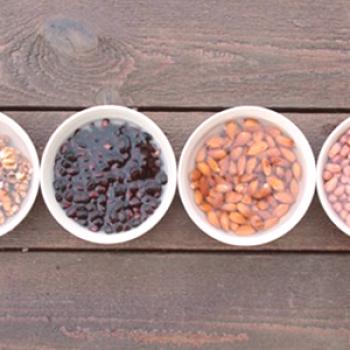 Prednosti namakanja orehov in semen pred uporabo