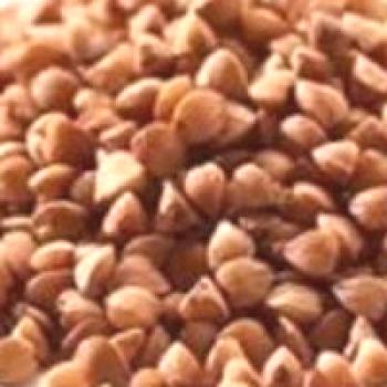 ¿Qué platos se pueden preparar a partir de harina de trigo sarraceno?