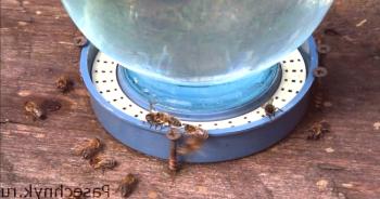 Bebedores para las abejas con sus propias manos: el proceso de elaboración.