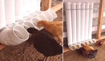 Alimentador para pollos con sus propias manos de una tubería: clase magistral de foto y video