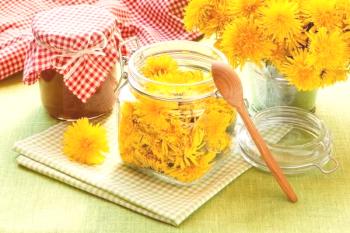 Diente de león miel: recetas, consejos, beneficios y dolores