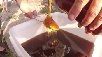 Miel de alforfón: propiedades beneficiosas