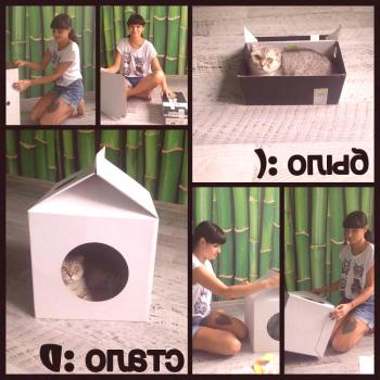 Casa del gato para MilkBox (Kotofabrikka): comentarios, foto, video, colección