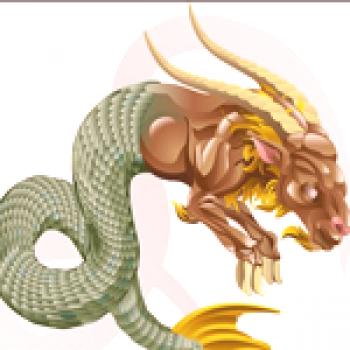 Horoskop za leto 2017: Kozorog
