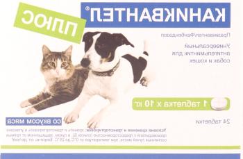 Canikvantel para gatos: opiniones, instrucciones de uso, contraindicaciones.