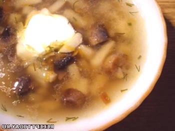 Recept: gobova juha iz belih gob