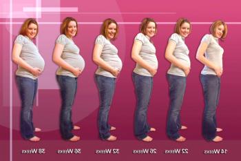 Koliko mesecev v 24 tednih nosečnosti?