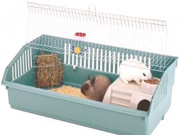 Elige una jaula para conejos decorativos (enanos).