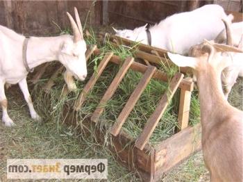 Hranilniki za koze, izdelani z lastnimi rokami: pod senom in ne samo