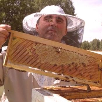 Как да се правят разстояния от пчелно семейство, формирането и разпределението на половинките на пчелите.