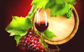 Koristi vina, koristne lastnosti vina: uporaba vina v kozmetologiji in zdravljenje bolezni