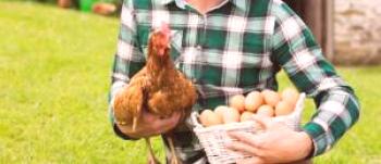 ¿Cuántas proteínas hay en los huevos de gallina?