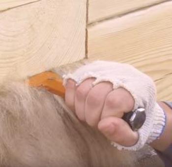 Cómo colgar una madera para cortar leña de un tronco: musgo, yute o chip + videos