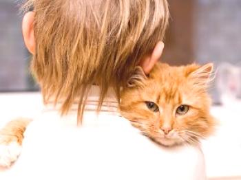 Cómo transferir liquen de gato a hombre a gato, que a tratar y cómo no infectarse, lo que es peligroso para un niño y un adulto, cuánto se guarda en un apartamento