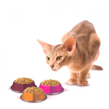Leonardo: comida premium para gatos de un fabricante de confianza