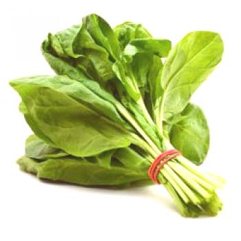Spinach koristi in škoduje zdravju moških in žensk