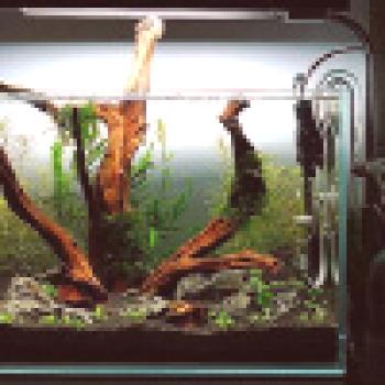 Hitra zamenjava akvarija