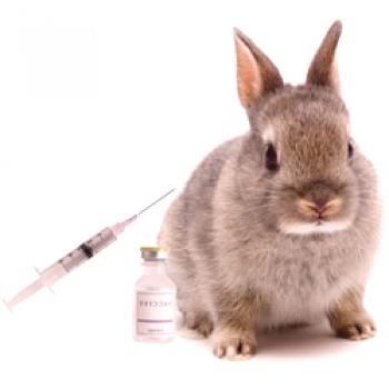 Ваксинации при зайци: на каква възраст и как се прави, схемата