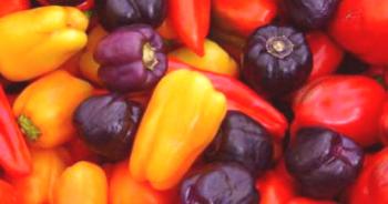 Zgodnje sorte paprike za odprto zemljo so najboljše