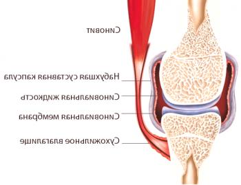 Synovitis kolena: učinkovito zdravljenje s folk pravna sredstva